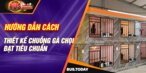 Hướng dẫn cách thiết kế chuồng gà chọi đạt tiêu chuẩn