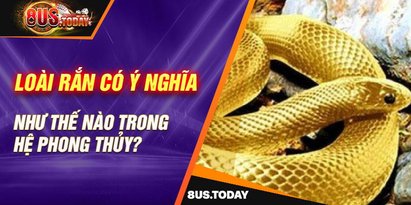 Loài rắn có ý nghĩa như thế nào trong hệ phong thủy?