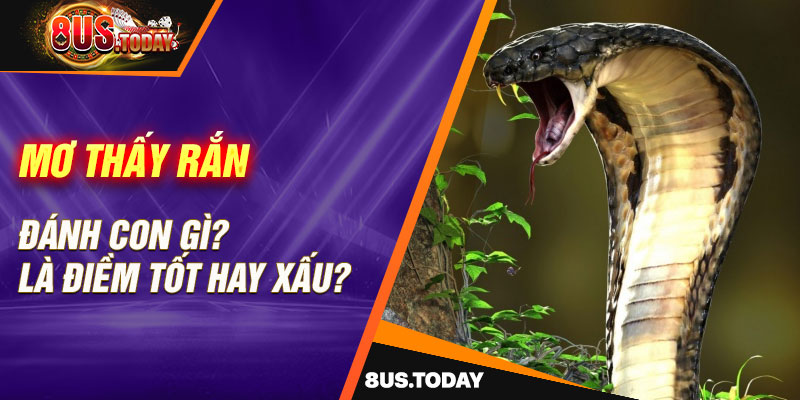 Mơ thấy rắn đánh con gì? Là điềm tốt hay xấu?