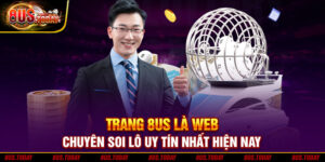 web chuyên soi cầu lô