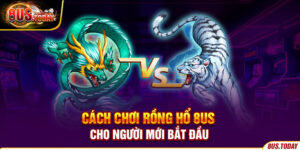 Cách chơi Rồng hổ 8us cho người mới bắt đầu