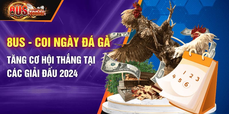 8US - Coi ngày đá gà